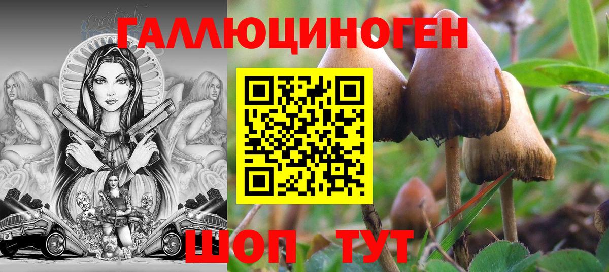 Когалым  Псилоцибиновые грибы Psilocybe  Псилоцибиновые грибы Psilocybine cubensis  Вход с VPN 