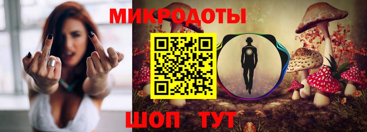 Галлюциногенные грибы Cubensis Когалым